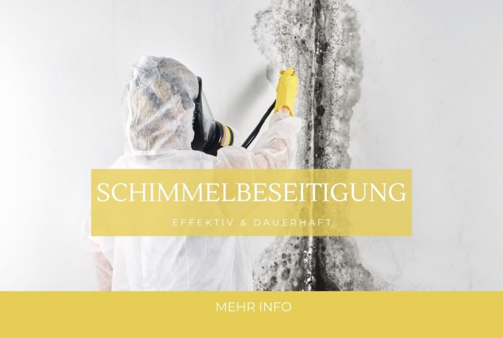 enttek-wasserschaden-schimmel-beseitigung-37441-bad-sachsa