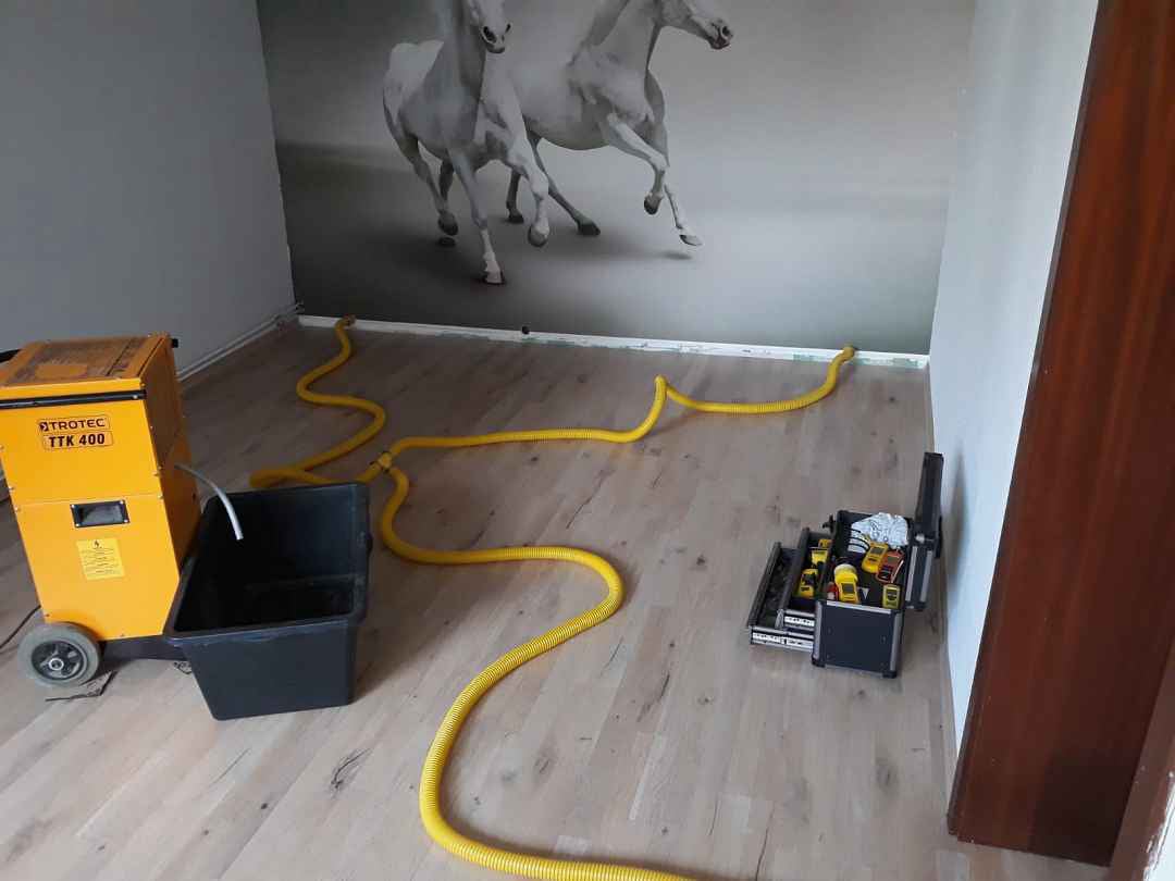 Enttek.de, Wasserschaden, Hohlraumtrocknung, Bad Sachsa, Bad Lauterberg, Osterode, Nordhausen, Eichsfeld, Harz